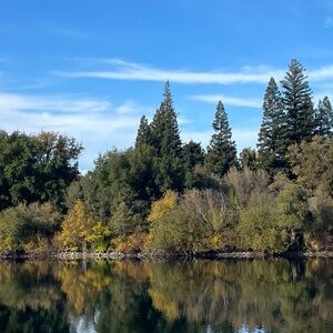 Meet your Posher, Sylvia